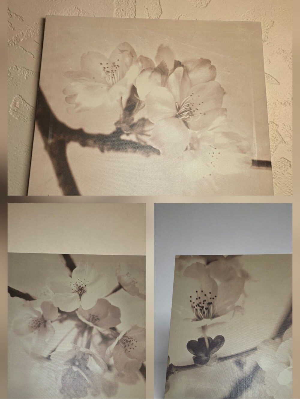 Set Of 3 Neutral Floral Canvas Wall Art - Soft Beige Cherry Blossom-NEW